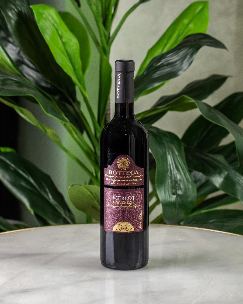 Bottega Merlot (Italy)